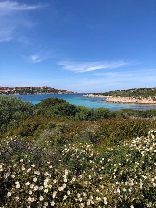 Casa Indipendente Zona Centrale La Maddalena  Exteriér fotografie